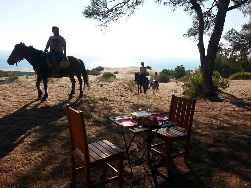 Patara Ranch Hotel ภายนอก รูปภาพ